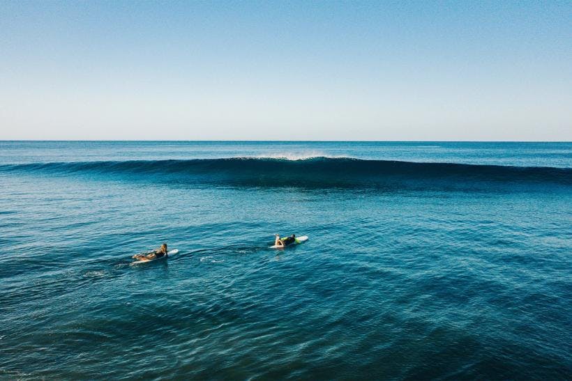 Paddle, Paddle, Paddle!