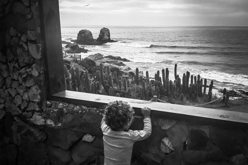 Punta de Lobos: Forever Free