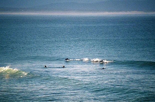 Surf Simply technical surf coaching resort, Guiones, Nosara, Costa Rica