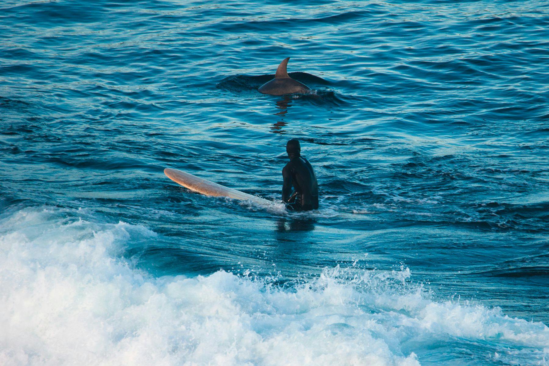 Surf Simply technical surf coaching resort, Guiones, Nosara, Costa Rica