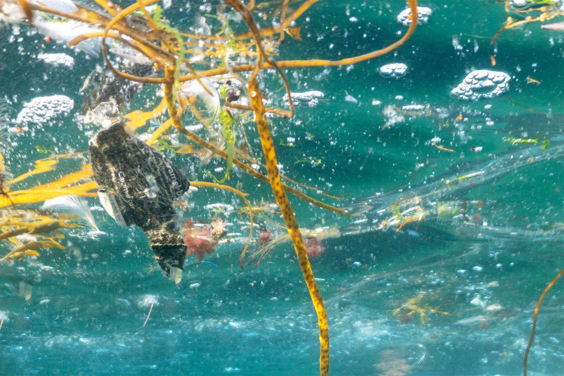 plastic litter floating in the sea