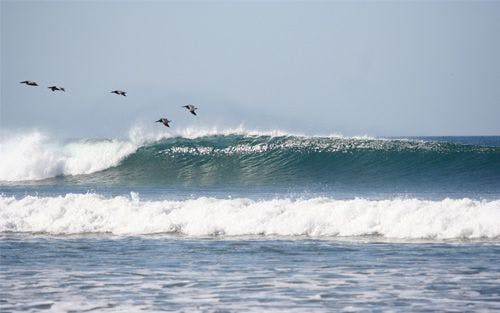 Surf Simply technical surf coaching resort, Guiones, Nosara, Costa Rica