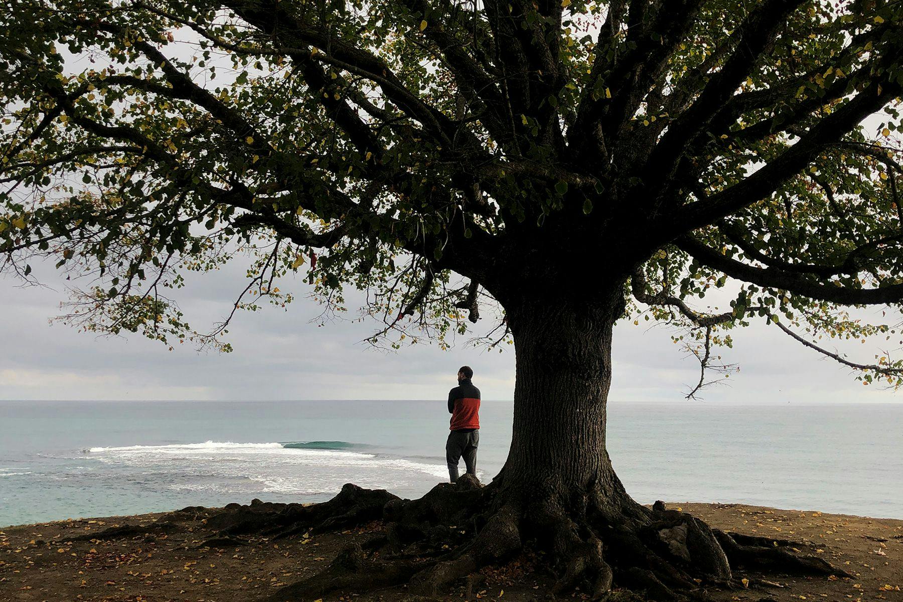 Surf Simply technical surf coaching resort, Guiones, Nosara, Costa Rica