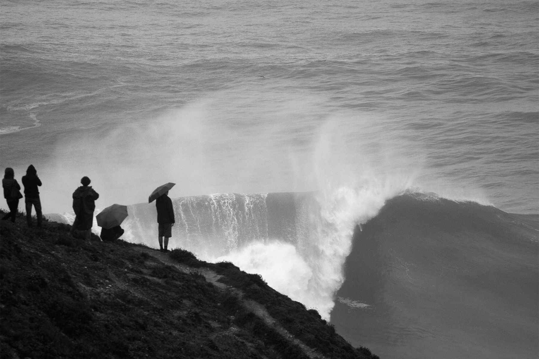 spectators with umbrellas stand on the cliff at nazare in portugal watching giant waves breaking