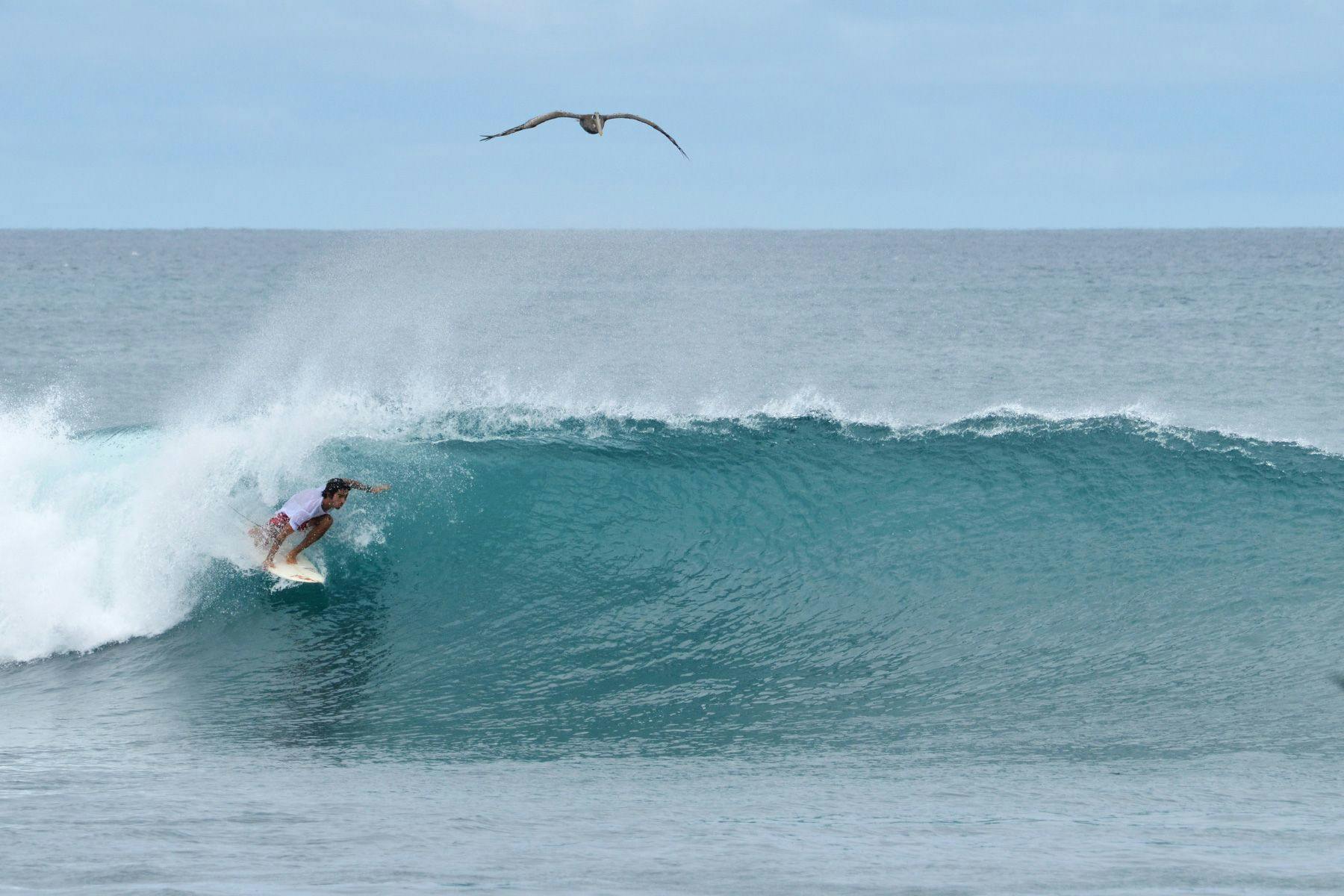 Surf Simply technical surf coaching resort, Guiones, Nosara, Costa Rica