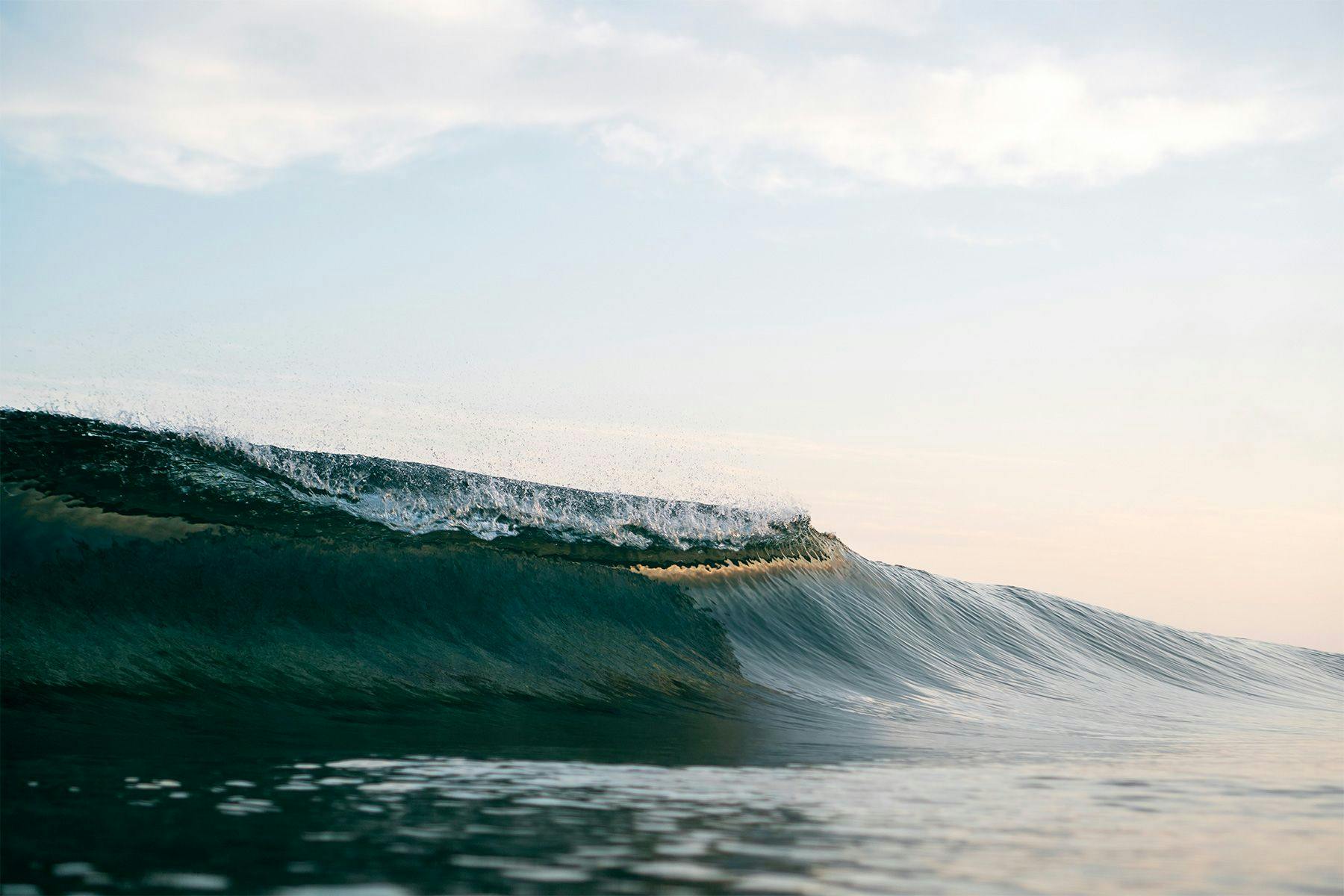 a wave breaking and catching the light of the rising sun at dawn