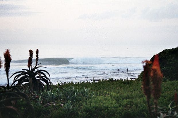 Surf Simply technical surf coaching resort, Guiones, Nosara, Costa Rica