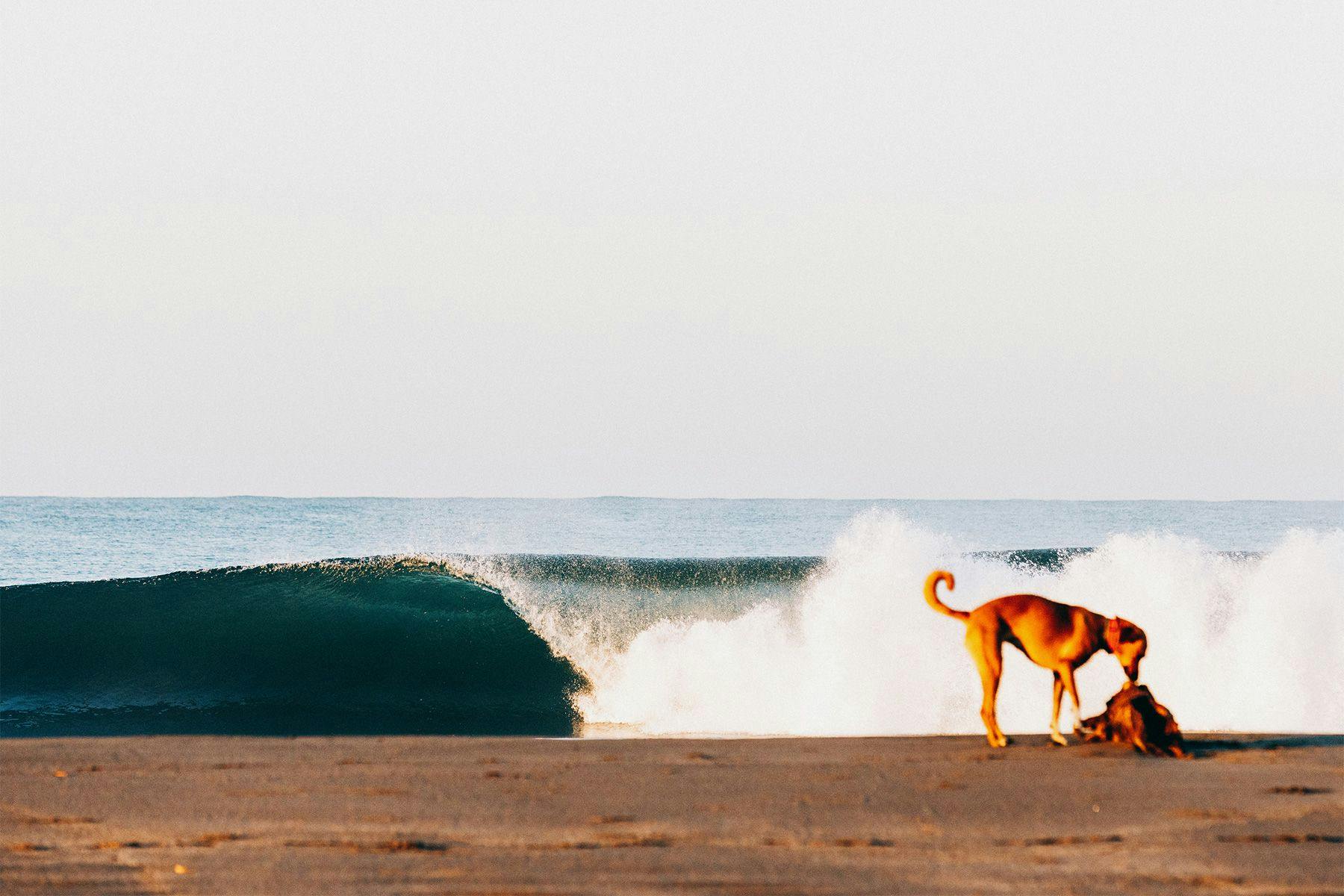 Surf Simply technical surf coaching resort, Guiones, Nosara, Costa Rica