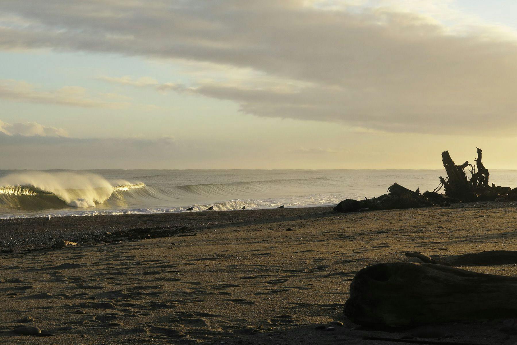 Surf Simply technical surf coaching resort, Guiones, Nosara, Costa Rica