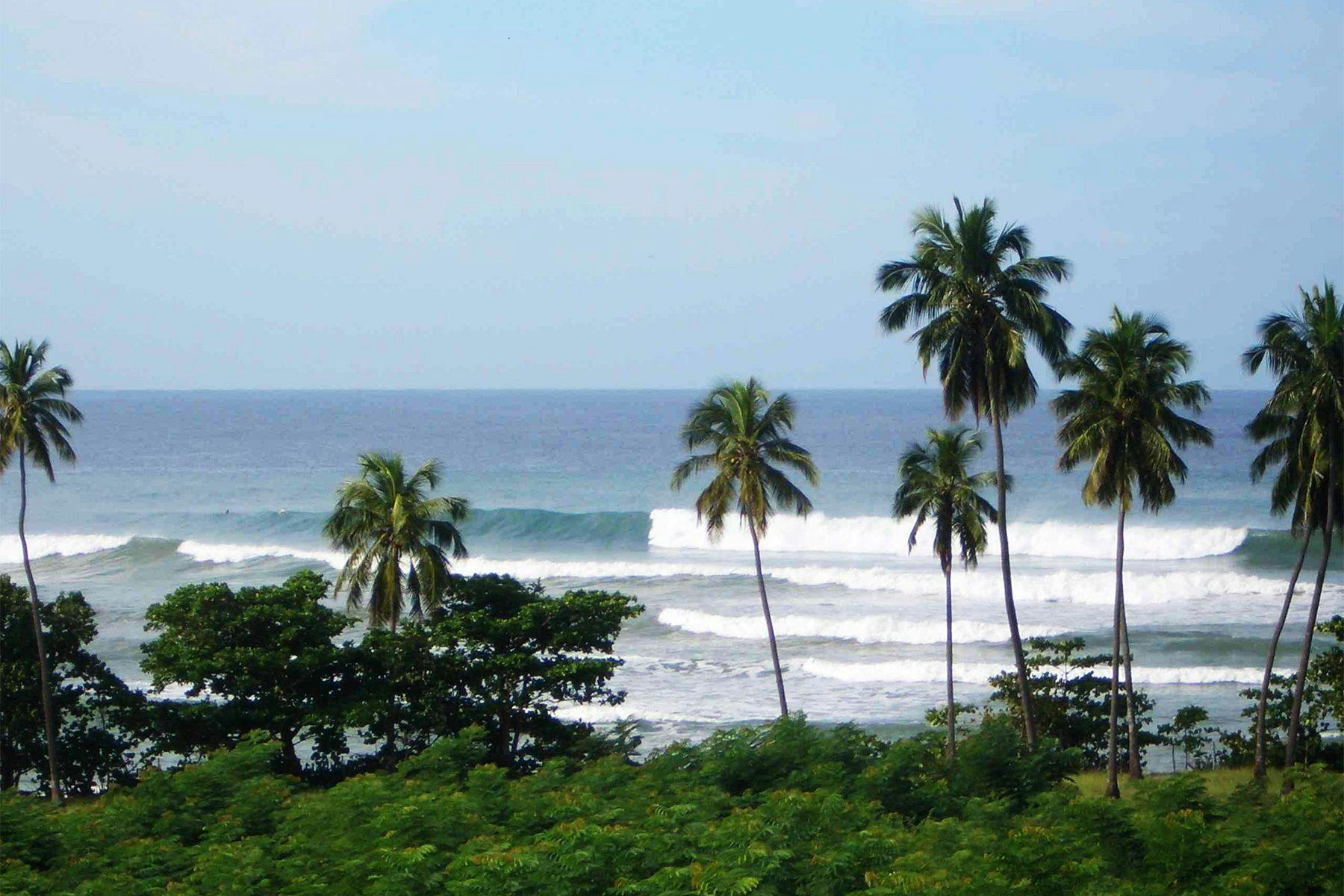 Surf Simply technical surf coaching resort, Guiones, Nosara, Costa Rica