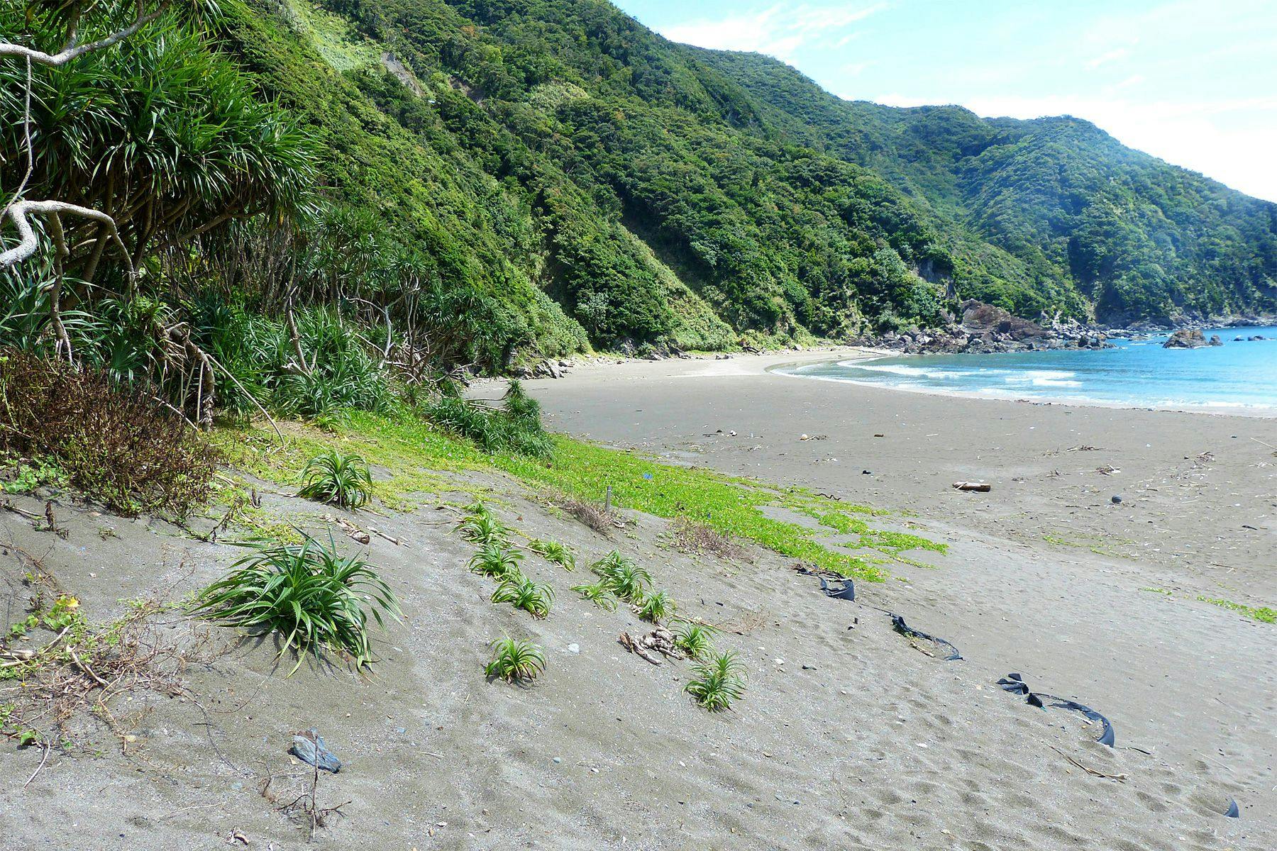 Surf Simply technical surf coaching resort, Guiones, Nosara, Costa Rica