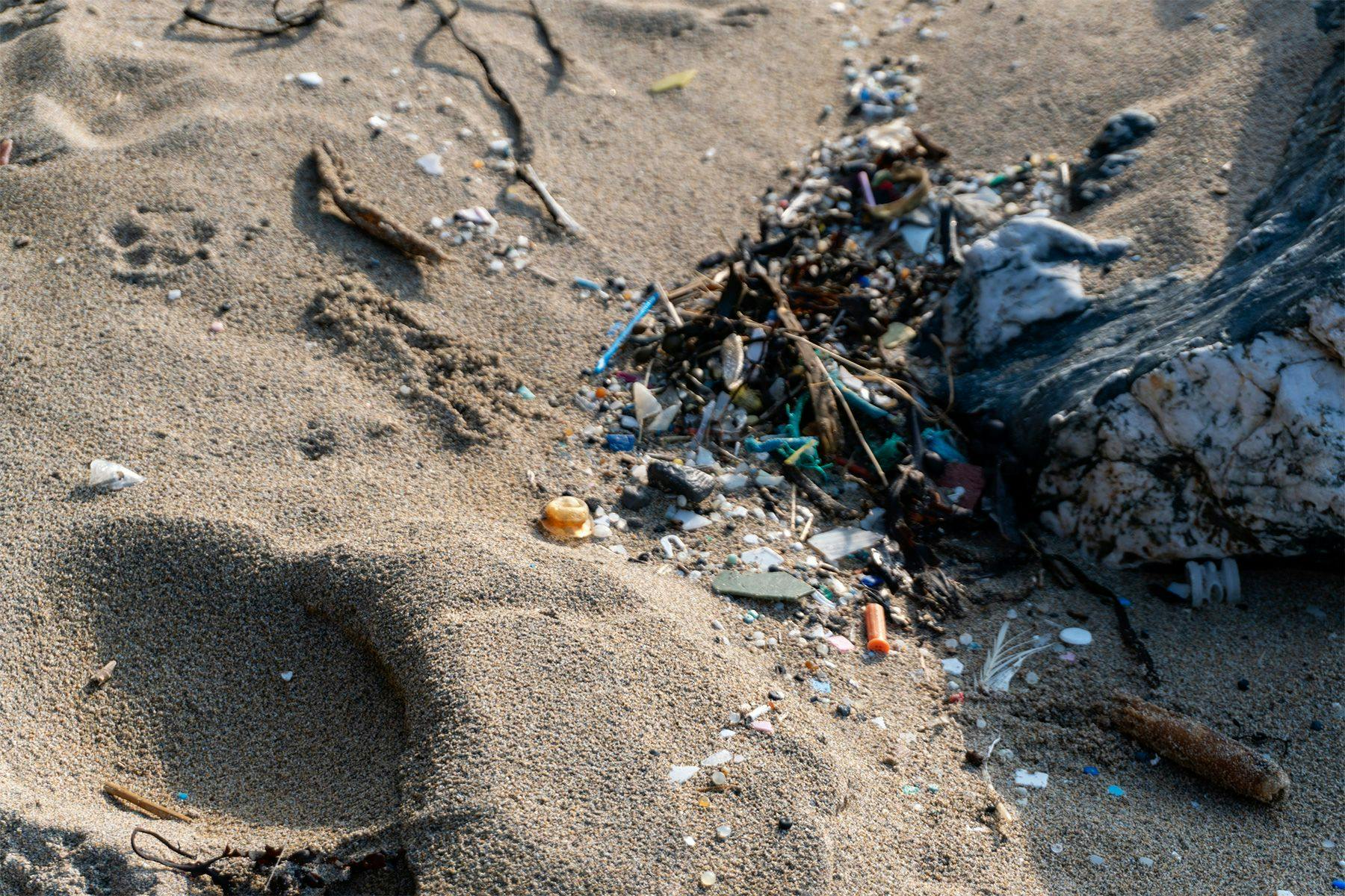 microplasticic pollution on a beach